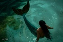 Mermaid in Moonlight